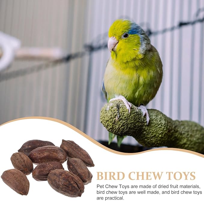 8pcs Natural Bird Chewing for Parrots Budgies Macaws Dried Fruit Chew Accessories Fun Foraging Shredding Treats to Reduce Loneliness and Promote Healthy Beak Maintenance