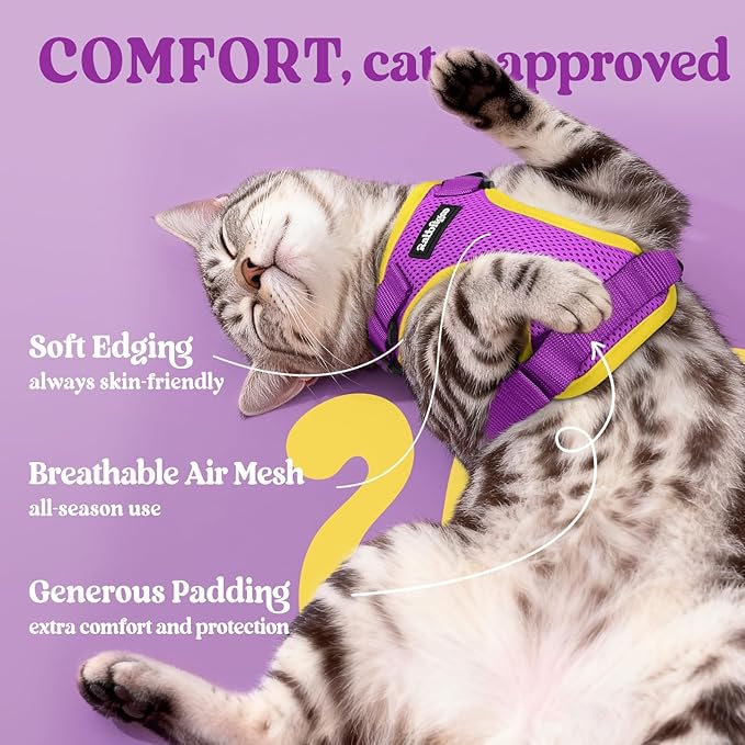 rabbitgoo Cat Harness and Leash for Walking, Escape Proof Soft Adjustable Vest Harnesses for Cats, Easy Control Breathable Reflective Strips Jacket, Purple&Yellow,XS