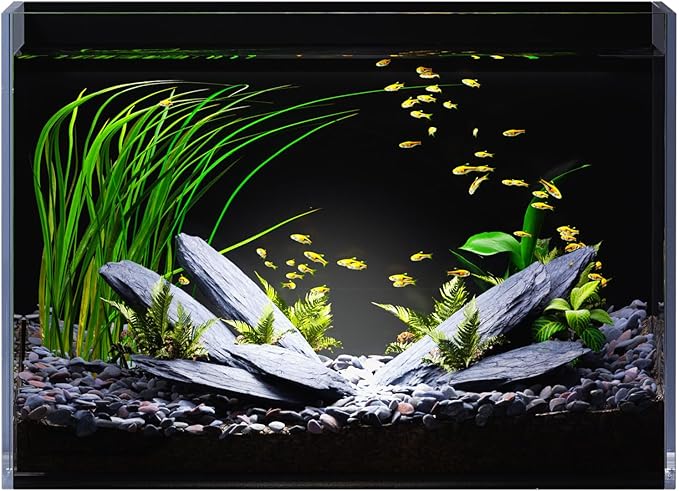 5 Gallon Glass Fish Tank Ultra Clear Rimless Aquarium, Built-in Black Background Rectangular Tank