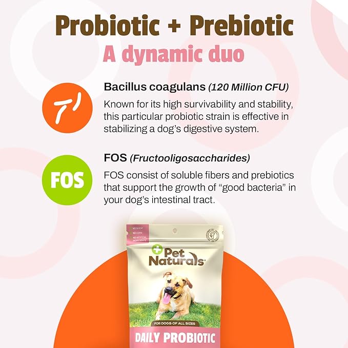 Pet Naturals Probiotics for Dogs – 160 Soft Chews, Dog Probiotic for Digestive & Gut Health Support with 120M CFUs + Prebiotics, Immune Support for Occasional Upset Stomach, Duck Flavor, All Breeds