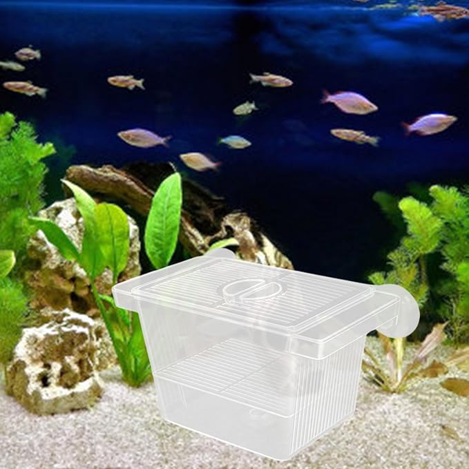 2PCS Clear Breeding Box Safe Incubator for Aquarium Fish Shrimp Fry Protections with Water Circulations 2 Dividers Fish Breeding Tanks