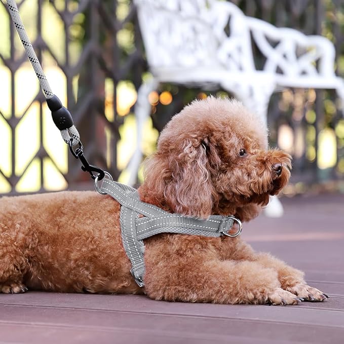 Plutus Pet No Pull Dog Harness with Breathable Mesh Padded, Adjustable Reflective Escape Proof Dog Harness, Quick Fit Dog Vest Harness for Small Medium Large Dogs(M, Gray)
