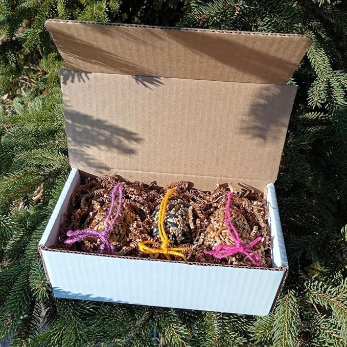 Birdseed Ornaments for Outside - Set of 3 for Wild Birds - Premium Quality - Wild Bird Treats - Egg-Shaped Hanging Birdseed Ornaments
