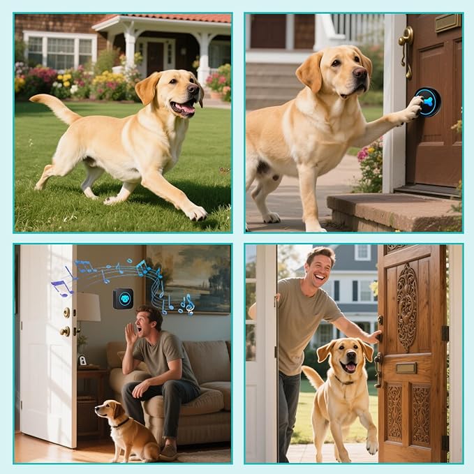 Dog Doorbell to Go Outside, Smart Wireless Doggie Doorbell for Potty Training,1000 Feet Long Range with IP65 Waterproof Super-Light Touch Button, 60 Melodies & Adjustable Volume (1 Button)