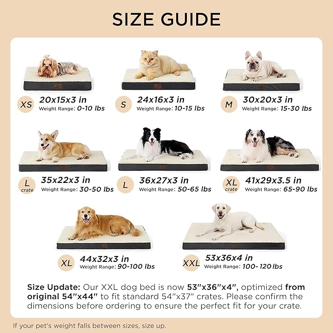 Bedsure Dog Bed for Small Dogs - XS Comfy Flat Puppy Beds with Removable Washable Cover, Orthopedic Egg Crate Foam Pet Mat, Suitable for Pet or Cats Up to 10 lbs