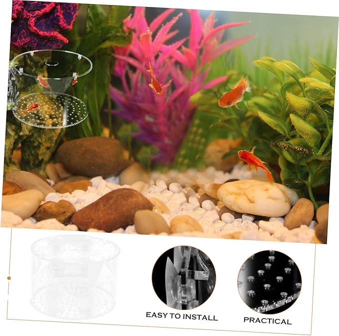 BESPORTBLE Fish Breeding Box Isolation Tank Hatchery Aquarium Accessory for Fry and Pregnant Fish Viewing Divider