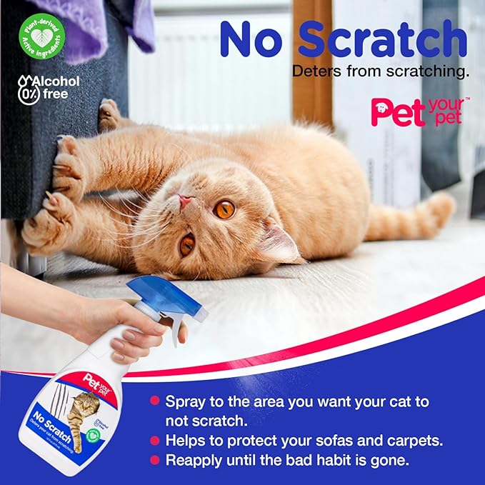 No Scratch Cat Deterrent Spray, 16 Fl Oz– Non-Toxic for Carpets and Furniture – Natural Cat Stop Scratching Deterrent Spray – Indoor/Outdoor Kitten - Anti-Scratch Keep Off