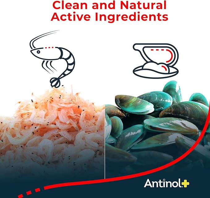Antinol Plus, Mobility, Hip, and Joint Supplement for Dogs, Green-Lipped Mussels and Krill Oil - Dog Joint Supplement, Better and Faster Than Glucosamine and Chondroitin, 90 Soft Gels