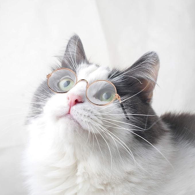 10 Pieces Cat Dog Sunglasses Funny Pet Glasses Round Metal Small Classic Retro Sunglasses Pet Hippie Cute Dog Cat Cosplay Party Costume Photo Props Cosplay Glasses(Mixed Color)