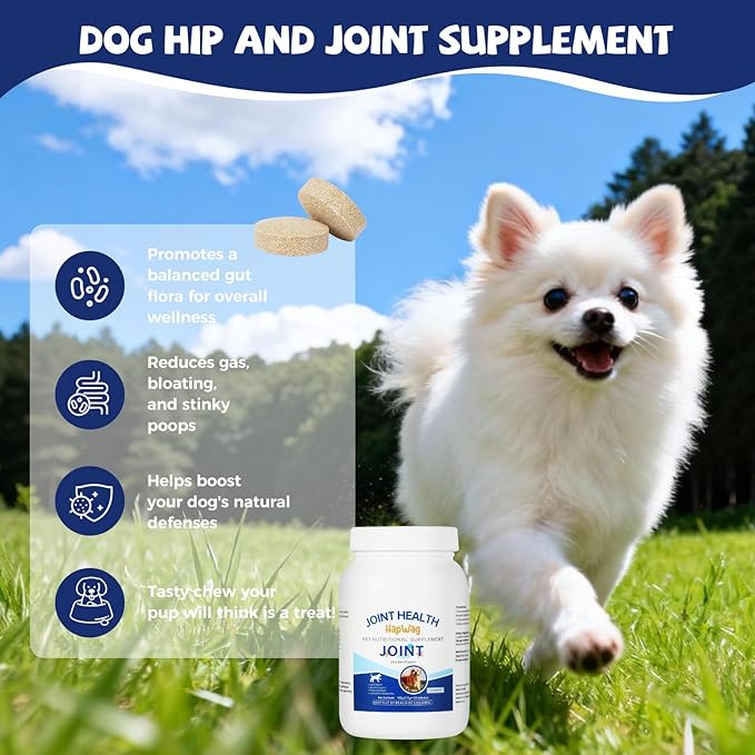 Hip and Joint Care Supplement with Glucosamine, Chondroitin, MSM for All Breeds and Ages Dogs - Chicken Flavor - 100 Chews