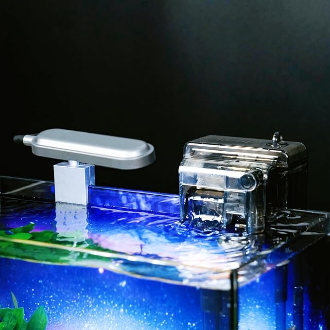 2 Gallon Glass Fish Tank with Filter LED Light Complete Aquarium Starter Kit for Betta, Shrimp, Nano Fish Rimless Small Aquarium with Everything Included