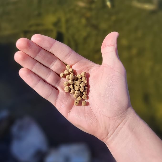 HALF OFF PONDS All Seasons Koi Fish Food - 10 lb Floating Pellets, 5mm Size - Goldfish Food for Ponds - 28% Protein with Wheat Germ & Vitamins - Ideal for Year-Round Feeding & Water Clarity
