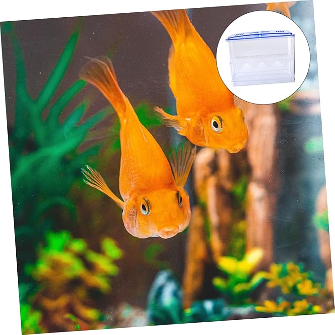 BESPORTBLE 1pc Self-Floating Fish Hatching Box Shaped Partition for Safe Fish Breeding Isolation Tank for Small Reproduction High Transparency and Air Circulation