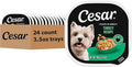 Cesar Filets in Gravy Adult Wet Dog Food Turkey Recipe, 3.5 oz. Easy Peel Dog Food Tray, 24 Count (Pack of 1)