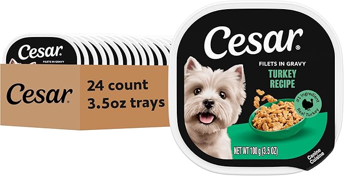 Cesar Filets in Gravy Adult Wet Dog Food Turkey Recipe, 3.5 oz. Easy Peel Dog Food Tray, 24 Count (Pack of 1)