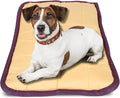 Jeffers Pet Comfort Dog Pillow, 2 XL 39"x51", Tan – Machine Washable Dog Bed for House, Sofa, Crate & Travel – Poly Cotton Shell, Winter Warmth, Soft, Comfy, Durable, Top Pet Bedding