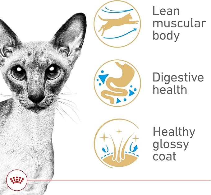 Royal Canin Feline Breed Nutrition Siamese Adult Dry Cat Food, 6 lb Bag