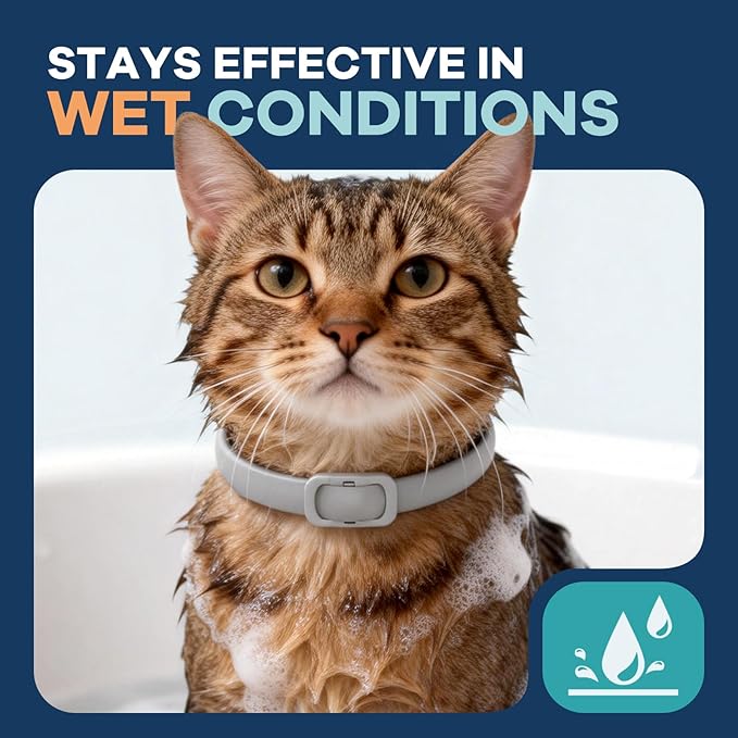Flea Collar for Cats 1 Pack, 8-Month Flea & Tick Prevention per Collar, Natural Plant-Based, Water-resistant, Adjustable, Fast-Acting & Long-Lasting, Safe for Adult Cats and Kittens, White