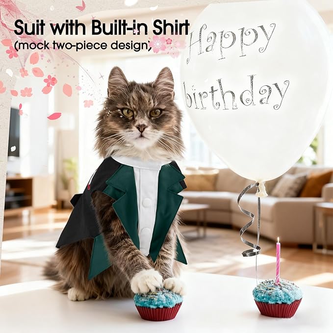 DENTRUN Cat Tuxedo Outfit Formal Suit with Shirt, Fancy Pet Tuxedo Vest for Hairless & Furry Cats, Kitten Wedding Attire Birthday Party Costume Clothes for Cats Only, XS-XXL