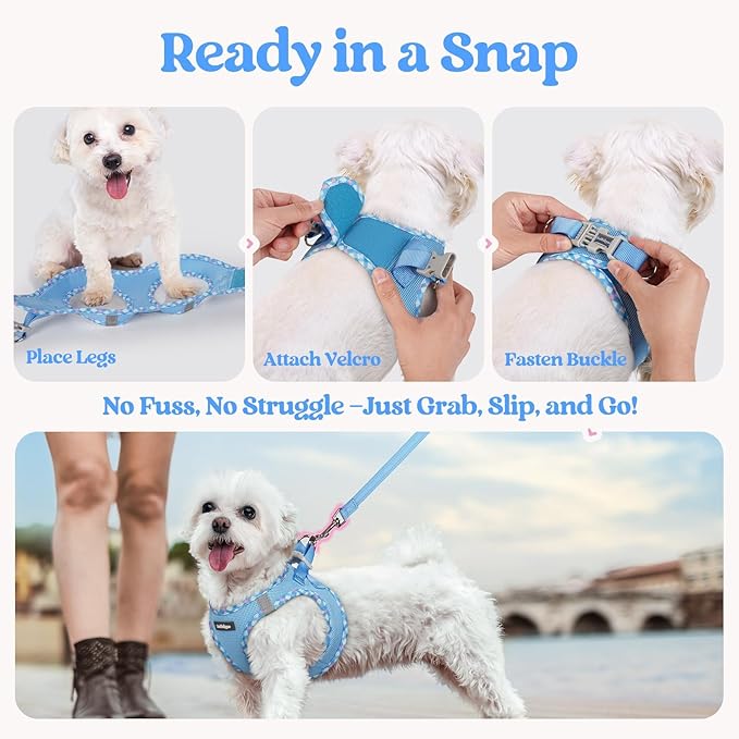 rabbitgoo Dog Harness Small Sized and Leash Set, Step in Soft Light Puppy Vest, Breathable Mesh Pet Harness, Reflective for Safe Easy Walking, Blue & Plaid Trim XS