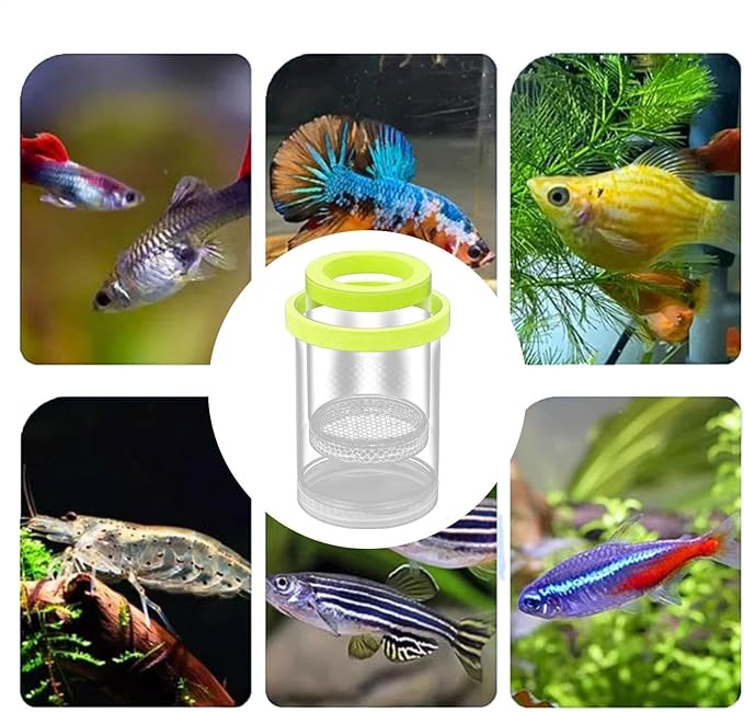 Floating Fish Isolation Box for Fish Tank, Floating Aquarium Breeder Hatching Box Clear Egg Isolation Net Incubation Boxes for Clownfishes Betta Guppy