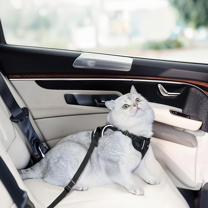 Cat Harness and Leash Set, Cat Car Harness, Soft and Breathable Vest with Reflective Strip, Anti Escape Adjustable Cat Harness, Easy to Wear for Cats Walking and Traveling, Black, M