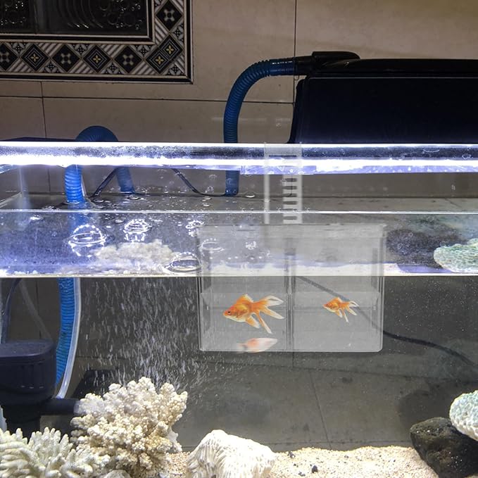 Kisangel Fish Breeding Style Incubator Tank for Tropical Fish Pe Material Aquarium Fry Isolation to Install