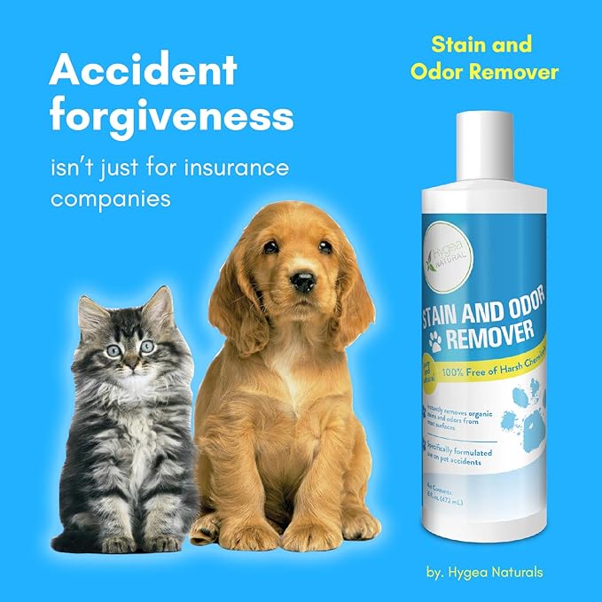 Hygea Natural Stain and Odor Eliminator, Pet Odor and Stain Remover for Urine & Vomit, Spot Carpet Cleaner for Small Animal, 16 Oz