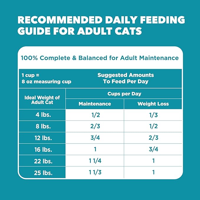 IAMS Proactive Health Dry Cat Food, Indoor Weight and Hairball Care Cat Food Dry Recipe, with Real Chicken in Every Bite, 22 lb. Bag