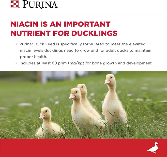 Purina | Nutritionally Complete Duck Feed for All Life-Stages | 5 Pound (5 lb.) Bag