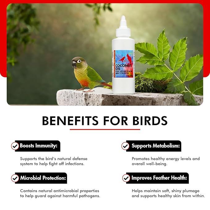 Morning Bird Coconut Oil for Birds 4 oz – Cold Pressed, Organic - Supports Immunity & Digestion – Boosts Energy & Feather Health – Easy to Mix – Safe for All Bird Life Stages