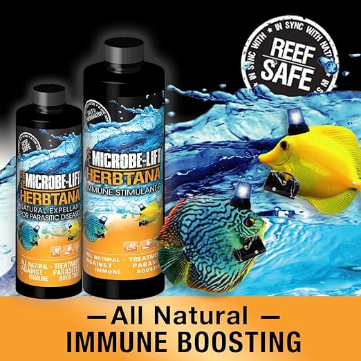 MICROBE-LIFT Herbtana Fish Medicine, Immune Booster and Parasite Treatment for Aquarium Fish Health, Ich Treatment, Use in Freshwater Tank or Saltwater Aquarium, 4 Ounces (HERB04)