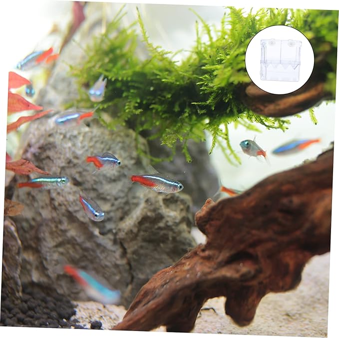 Breeding Tank Aquarium Isolation Box Fish Hatchery Box for Safe Fry Separation and Improved Survival Rate Water Design Dual Chamber Setup