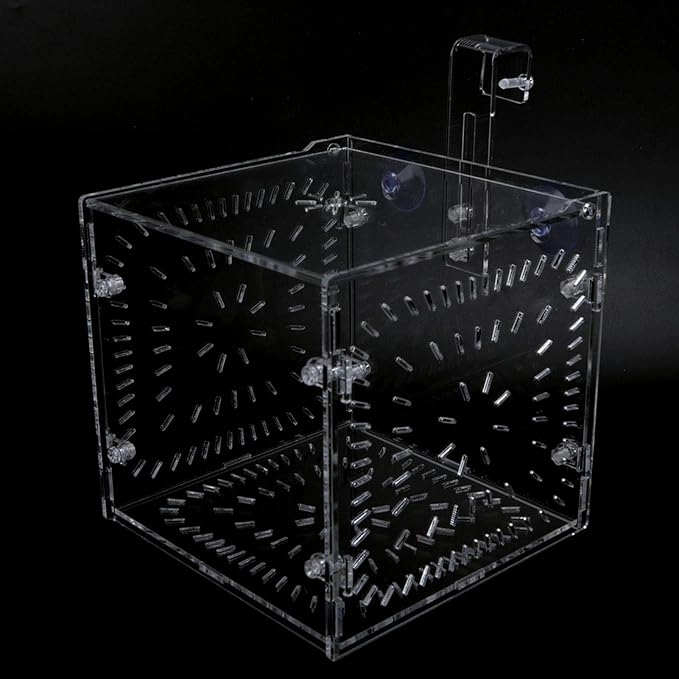 Fish Isolation Breeding Box Acrylic Incubator Floating Aquarium Hatchery Breeding and Parenting Box for Fish Aquarium(15CM*15CM*15CM)