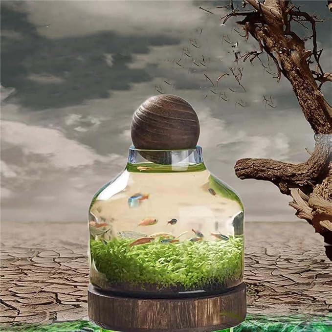 Glass Aquarium Fish Tank Plant Terrarium Bowl Micro Ecological Landscape Self-circulating Plant Vase Desktop Planter Jars Breeder Box, A