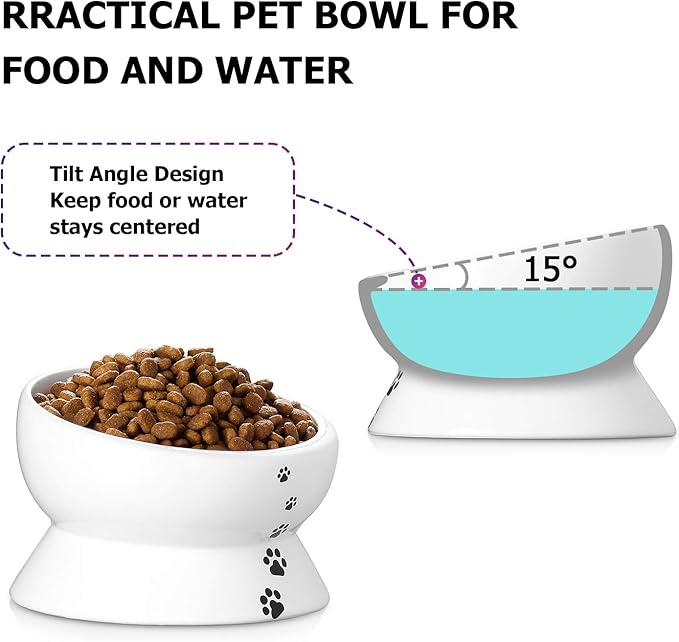 Y YHY Elevated Cat Food Bowl, Raised Food and Water Bowl for Cat and Small Dog, Tilted Ceramic Water Bowls No Spill,15oz, Dishwasher Safe