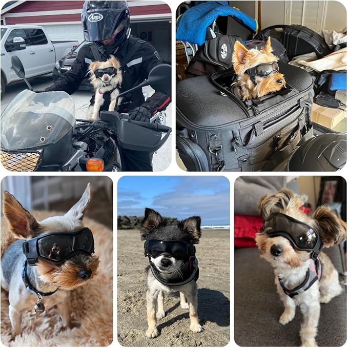 Dog Sunglasses for Extra Small Breed UV Protection Windproof XS Dog Goggles with Adjustable Head & Chin Straps for Ride Car/Hiking Travel/On Beach-Black