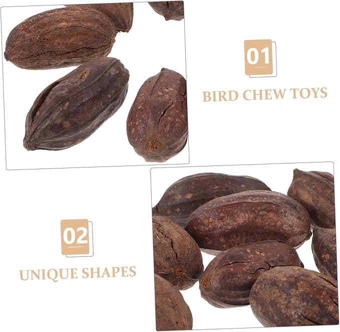 8pcs Natural Dried Fruit Parrot Chew for Birds Parakeet Cockatiel Foraging and Biting Healthy Mental Stimulation Bird Play