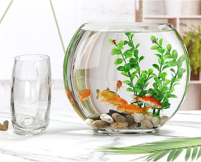 Aquariums Fish Bowl Creative Oval Glass Small Goldfish Fish Tank Home Desktop Decoration Transparent Glass Fish Tank Fish Tanks(XL)