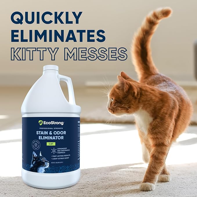 Eco Strong Cat Stain And Odor Remover| Enzyme Urine Odor Neutralizer - Stain Remover for Carpet, Litter Boxes, Bedding, and Laundry [Citrus Scent Gallon Value Size]