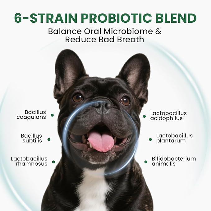 Dog Teeth Cleaning Powder, Dog Dental Powder and Cats Breath Freshener, Plaque Off Pet Tooth Cleaning lab co, Bad Breath & Tartar Remover, Dog Teeth Cleaning with Enzymes-Green Tea