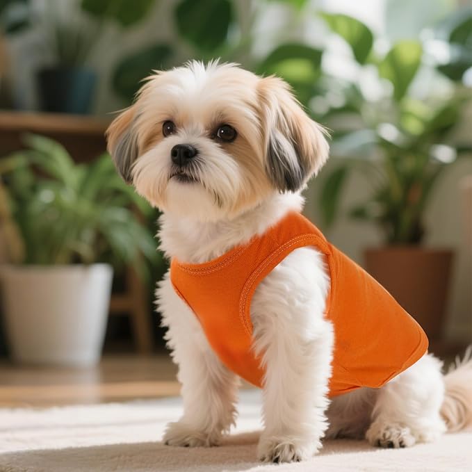 4 Pcs Cat Shirts Solid Color Dog Clothes Summer Sleeveless Pet T Shirts for Small Pet Dogs Cat (Black,Grey,Red,Orange, Small)