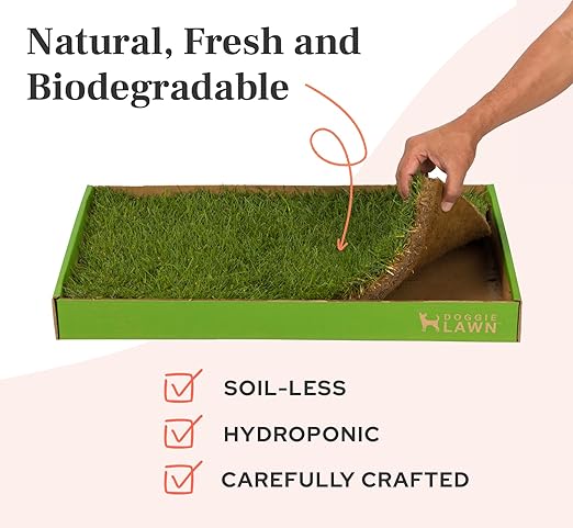 DoggieLawn Real Grass Puppy Pee Pads- 24 x 20 Inches - Perfect Indoor Litter Box for Dogs - No Mess, Easy-to-Use - Potty Training for Pets - Eco-Friendly Disposable Bathroom with Real Living Grass