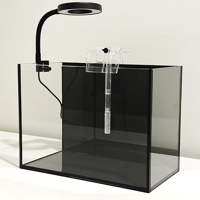 Nano Aquarium Kit 2.2 Gallon, Rimless Glass Betta Fish Tank with Filter & LED Light, 12" x 6" x 8" Small Desktop Fish Tank for Home Office