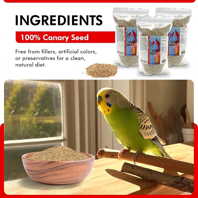 Morning Bird Canary Seed 4.5 lbs (3-Pack, 1.5 lbs Each), Nutrient-Rich Bird Seed, Creamy Golden Grain Powerhouse - Supports Healthy Feathers & Strong Bones – Natural Daily Nutrition for All Bird Types
