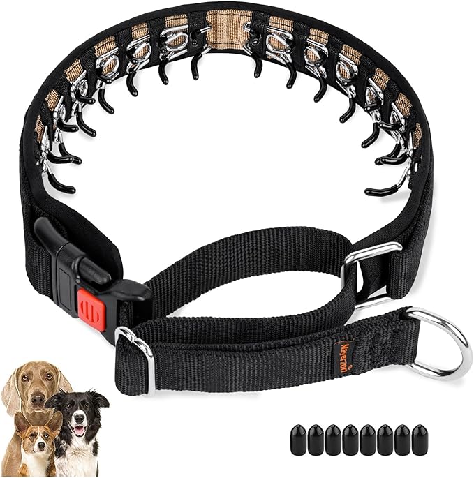 Mayerzon Dog Collar, Patented Martingale No Pull Collar for Small Medium Large Dogs with Buckle for Walking Training, Hidden Design (Black, Medium,2.5mm,14.5"-18.5" Neck)