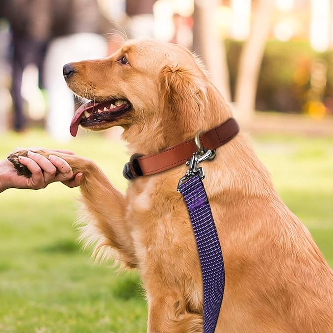 Hi Kiss Dog/Puppy Obedience Recall Training Agility Lead - 15ft 20ft 30ft 50ft 100ft Training Leash - Great for Training, Play, Camping, or Backyard(50ft,Black_Purple)