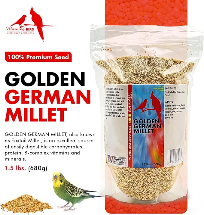 Morning Bird Golden German Millet 1.5 lbs – Natural Millet Seed for Birds – Natural Protein & Fiber Source – Easy-to-Digest Daily Nutrition for All Bird Types