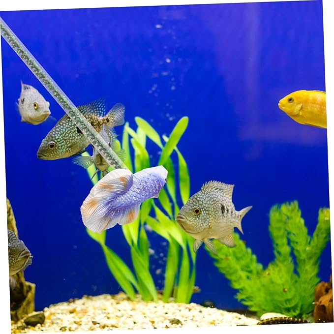 DOITOOL Fish Training Interactive Betta Fish Training Stick Betta Health Agility Fun Exercise Rod for Aquarium Engaging Decorative Toy