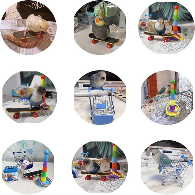Hypeety 3 Pack Bird Intelligence Toys Stacking Training Rings Mini Shopping Cart Skateboard Stand Perch for Parrot Parakeet Cockatiel Conure Budgie Cockatoo (B)